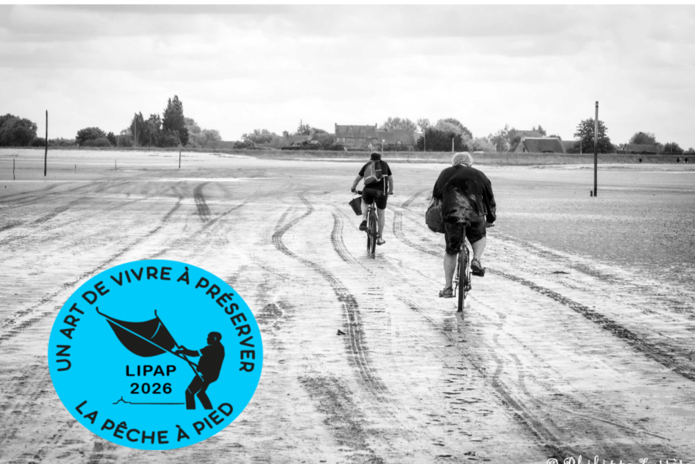 Assemblée générale